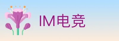 IM电竞 logo